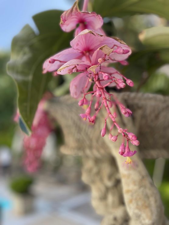 Bild von KikiSchulz Bild von KikiSchulz