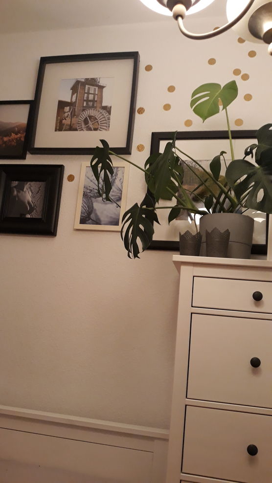 Mein kleines aber mir Mein kleines aber mir