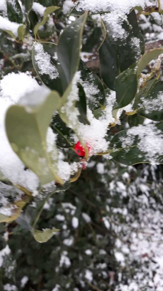 Endlich auch Schnee in Endlich auch Schnee in