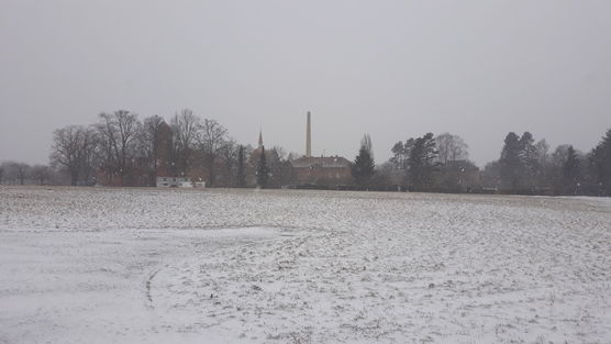 Da ist er wieder.....Schnee Da ist er wieder.....Schnee