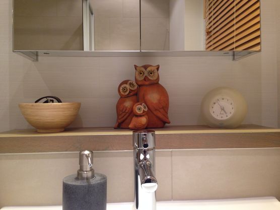 Eulenfamilie Eulenfamilie