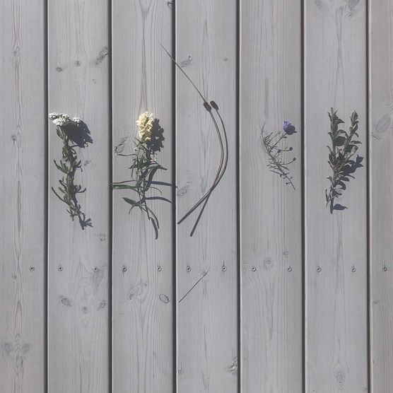 Bild von studiocc Bild von studiocc