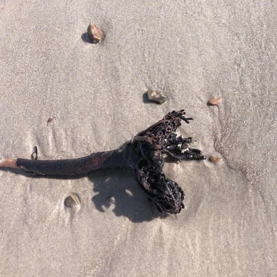 Bild von studiocc Bild von studiocc