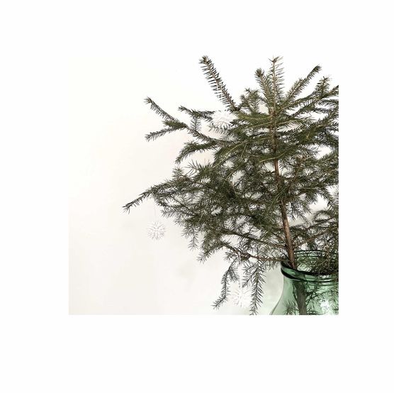 Bild von studiocc Bild von studiocc