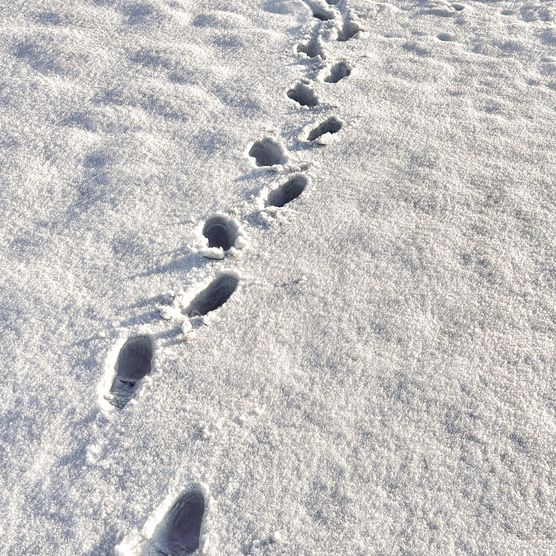 Bild von studiocc Bild von studiocc