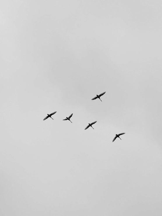 Bild von studiocc Bild von studiocc