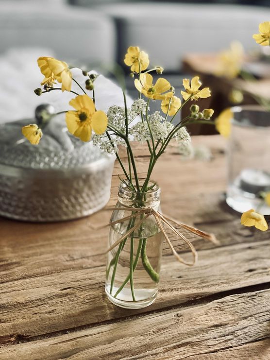 Bild von NanaT Bild von NanaT