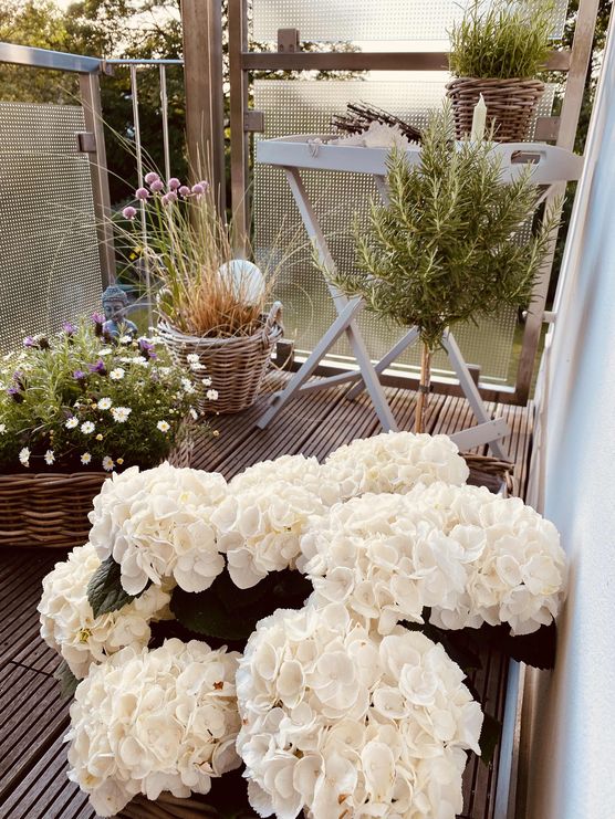 Bild von NanaT Bild von NanaT