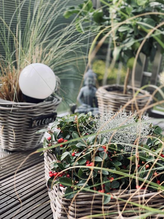 Bild von NanaT Bild von NanaT