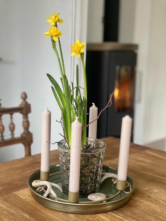 Bild von NanaT Bild von NanaT