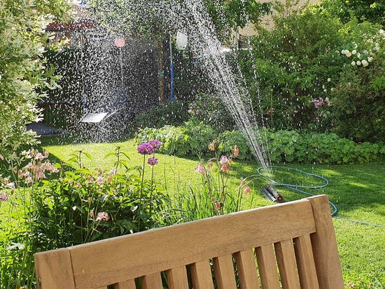 Bild von Meermoeve Bild von Meermoeve