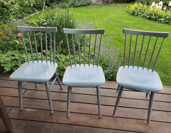 Bild von Meermoeve Bild von Meermoeve