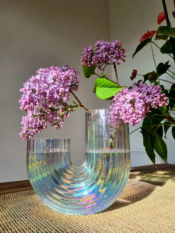 Endlich mehr Sonne! ☀️ Endlich mehr Sonne! ☀️