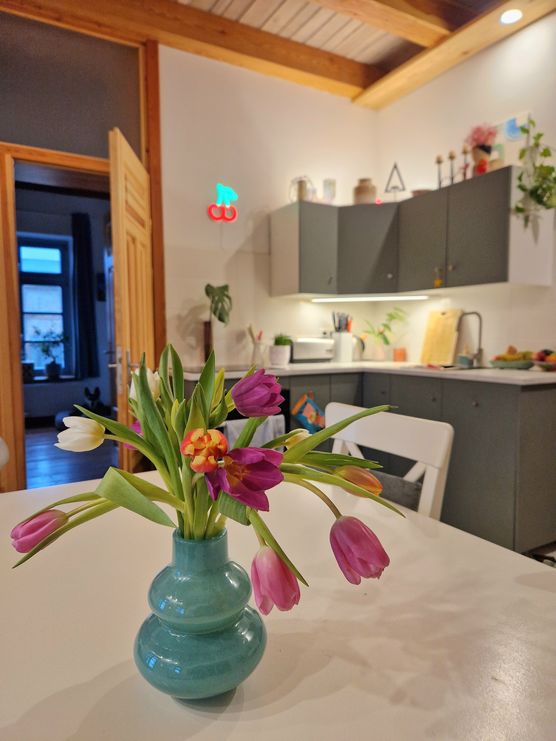 Etwas gegen das graue Etwas gegen das graue