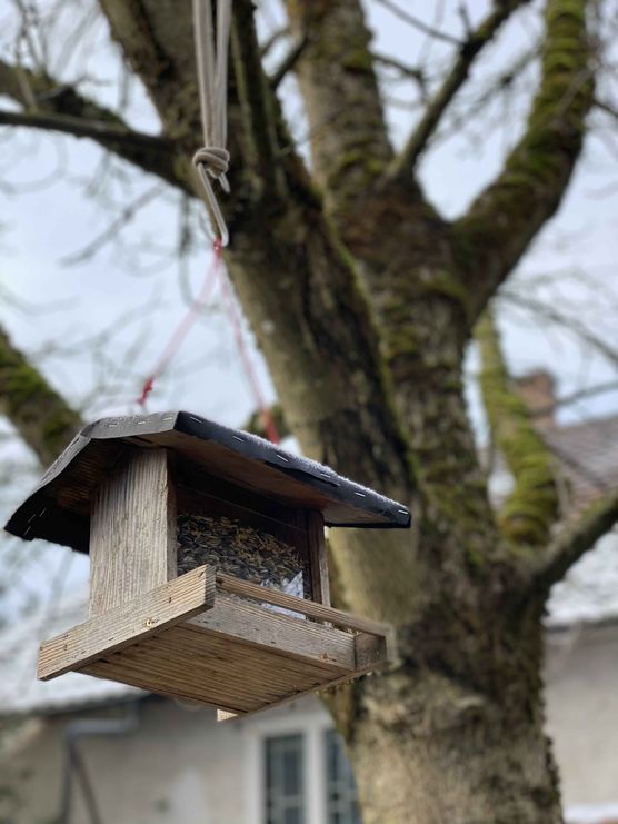 Bild von SarahOline Bild von SarahOline