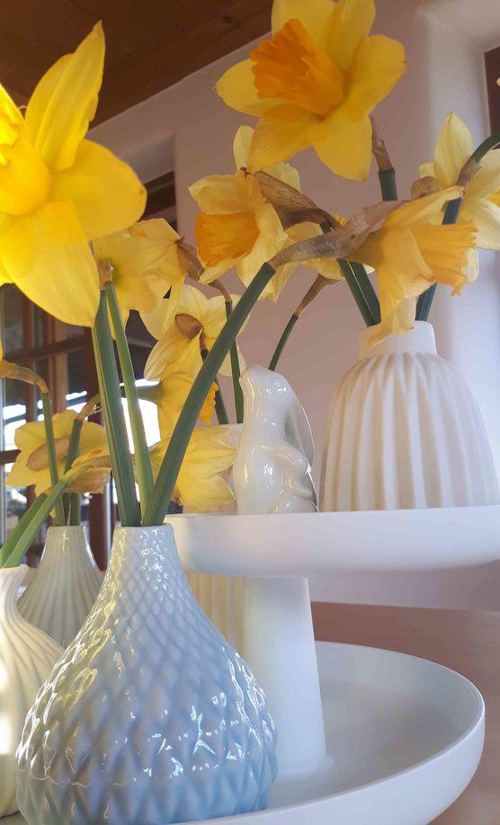 Bild von Appelkullen Bild von Appelkullen