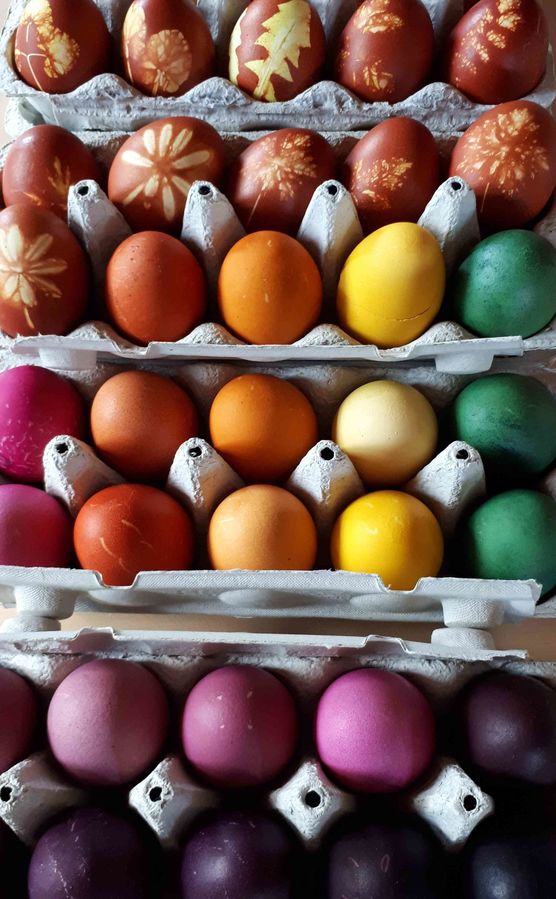 Bild von Appelkullen Bild von Appelkullen