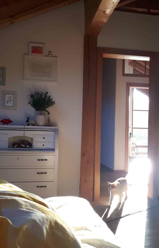 Bild von Appelkullen Bild von Appelkullen