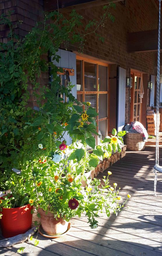 Bild von Appelkullen Bild von Appelkullen