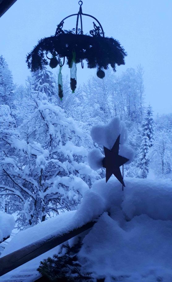 Bild von Appelkullen Bild von Appelkullen