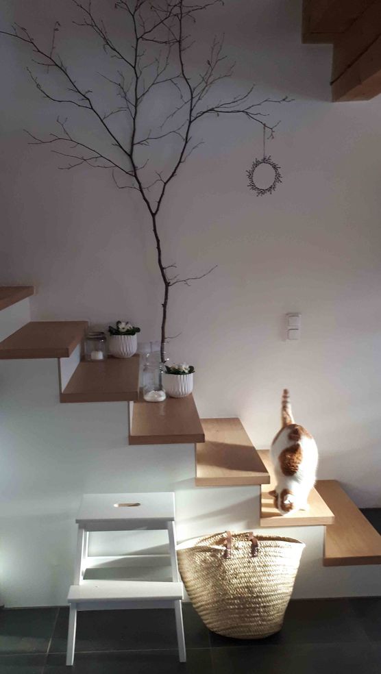 Bild von Appelkullen Bild von Appelkullen