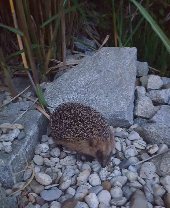 Bild von SMUKT LIV Bild von SMUKT LIV