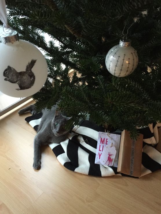 Liegeplatz unter dem Baum Liegeplatz unter dem Baum