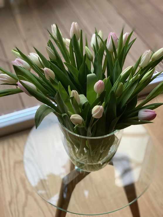 Bild von life_style Bild von life_style