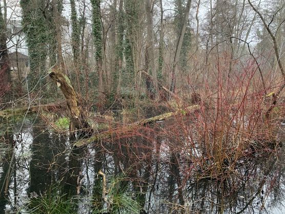 Bild von life_style Bild von life_style