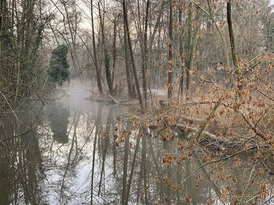 Bild von life_style Bild von life_style