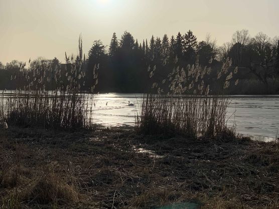 Bild von life_style Bild von life_style