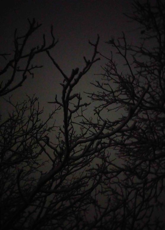 Bild von Inselsehnsucht Bild von Inselsehnsucht