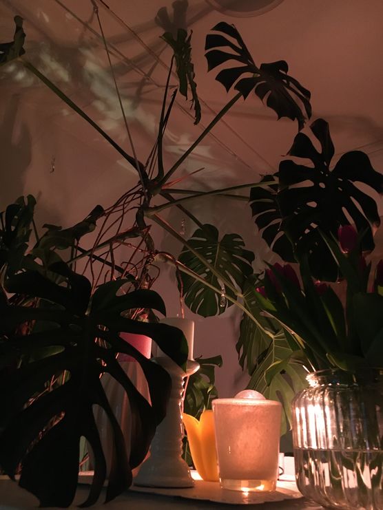 Ich mag es meine Ich mag es meine