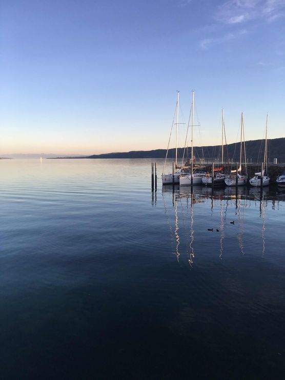 Bild von nini2571 Bild von nini2571