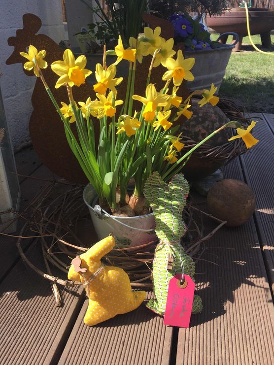 Bild von nini2571 Bild von nini2571