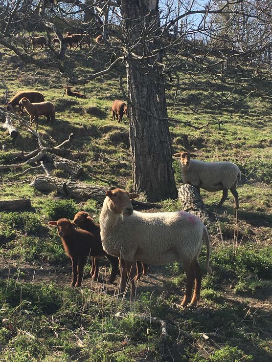 Bild von nini2571 Bild von nini2571