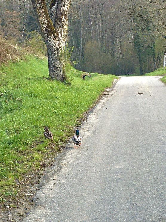 Bild von nini2571 Bild von nini2571