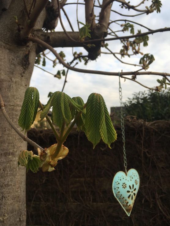 Bild von nini2571 Bild von nini2571