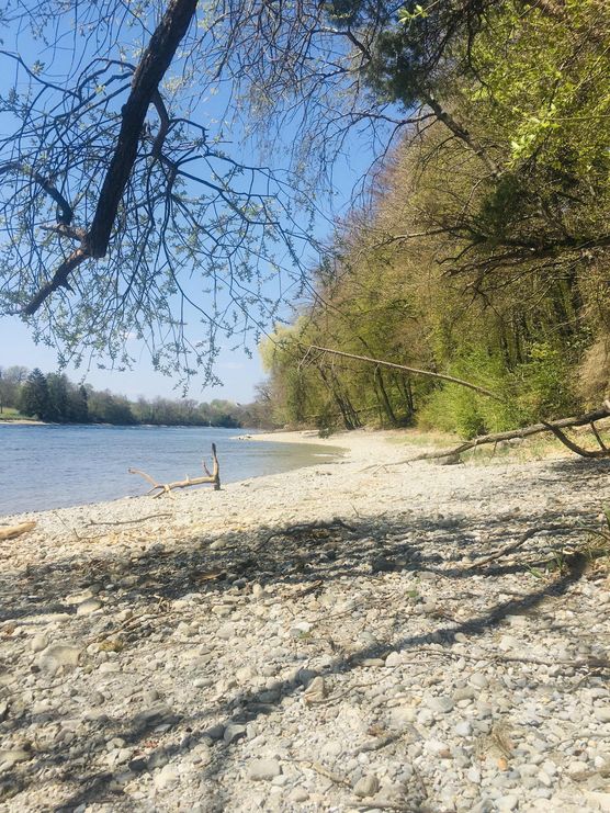 Bild von nini2571 Bild von nini2571