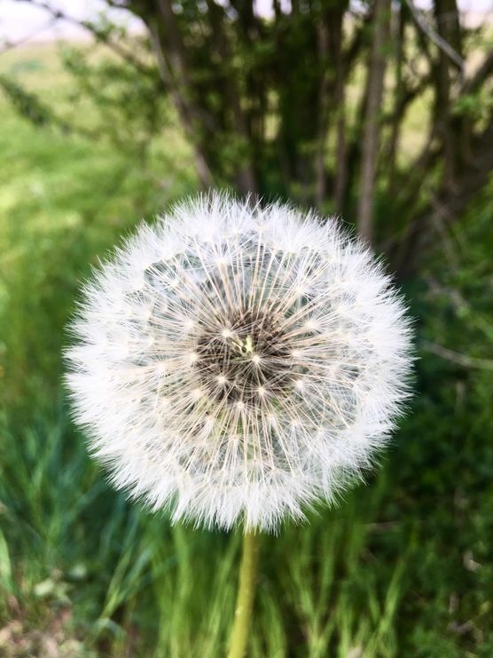 Bild von nini2571 Bild von nini2571