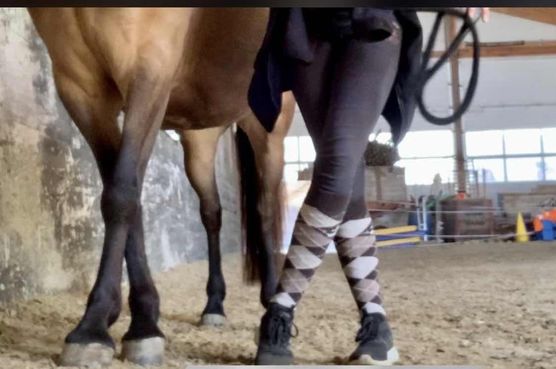 Bild von nini2571 Bild von nini2571