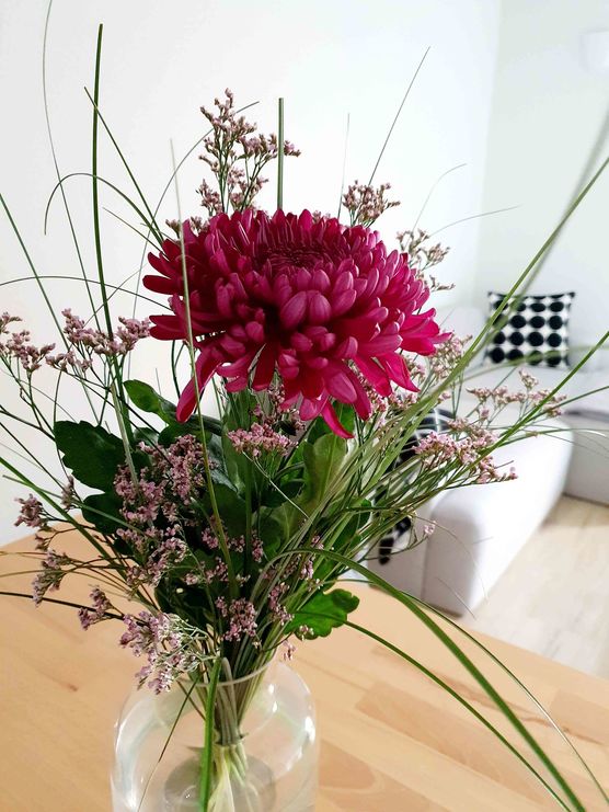 Bild von Julia Denker Bild von Julia Denker