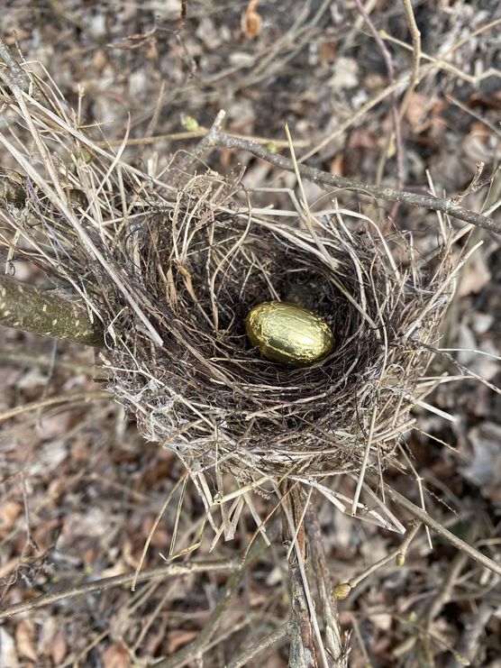 Bild von Anja K Bild von Anja K