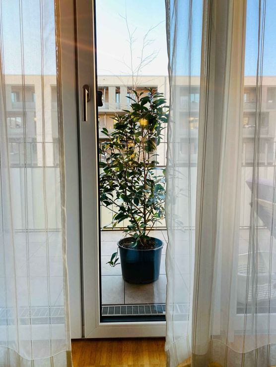 Bild von Ma Ren3 Bild von Ma Ren3