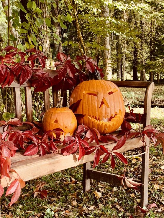 Bild von Spigi Bild von Spigi