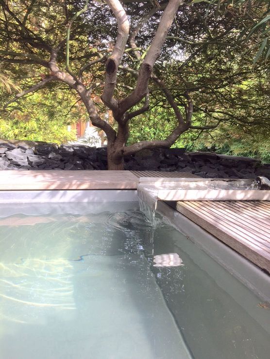 Fürs Foto eine Gänsehaut........ Fürs Foto eine Gänsehaut........