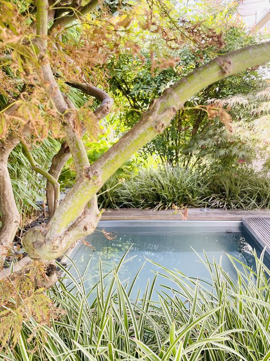 Genießen, genießen, genießen…..😊. Bei Genießen, genießen, genießen…..😊. Bei