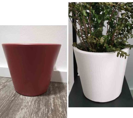 Bild von Janawalde Bild von Janawalde