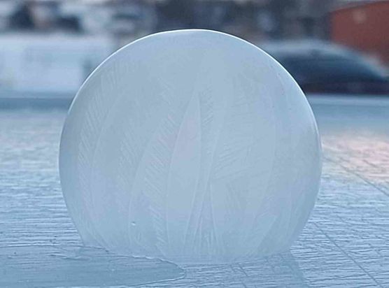 Bild von Janawalde Bild von Janawalde