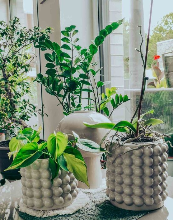 Bild von Lovelythings Bild von Lovelythings